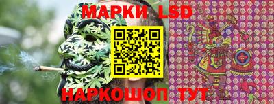 меф Гатчина