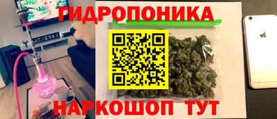 меф Гатчина