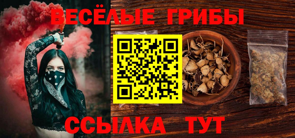 Галлюциногенные грибы Cubensis Канаш